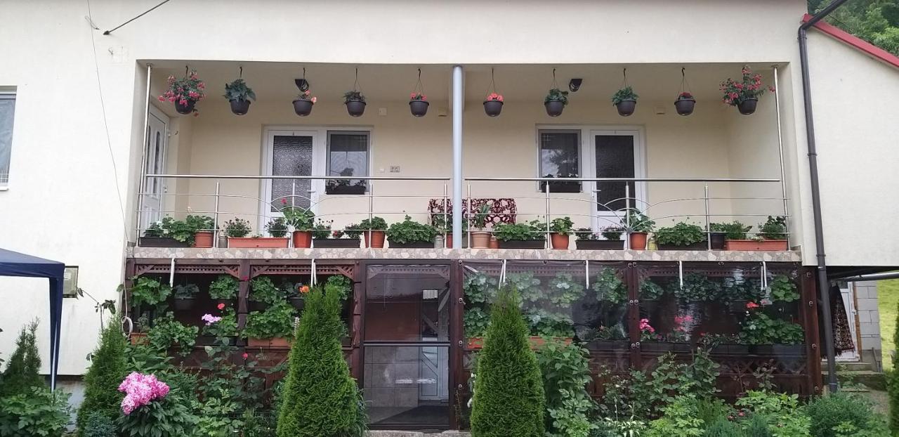 Casa Cosmina Arieseni Villa Екстериор снимка