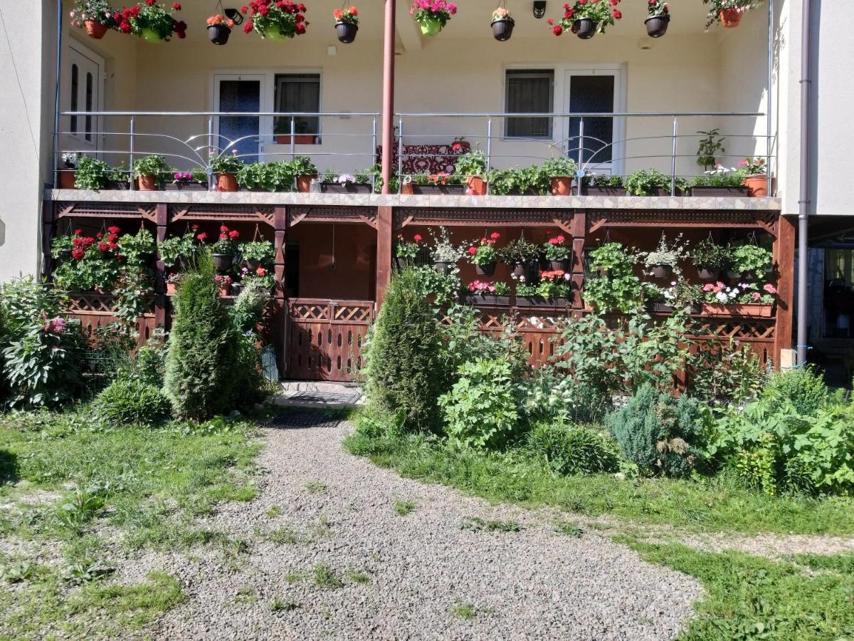 Casa Cosmina Arieseni Villa Екстериор снимка